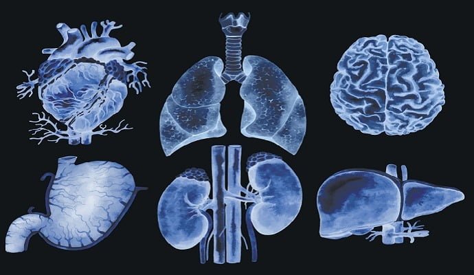 Organ Transplant